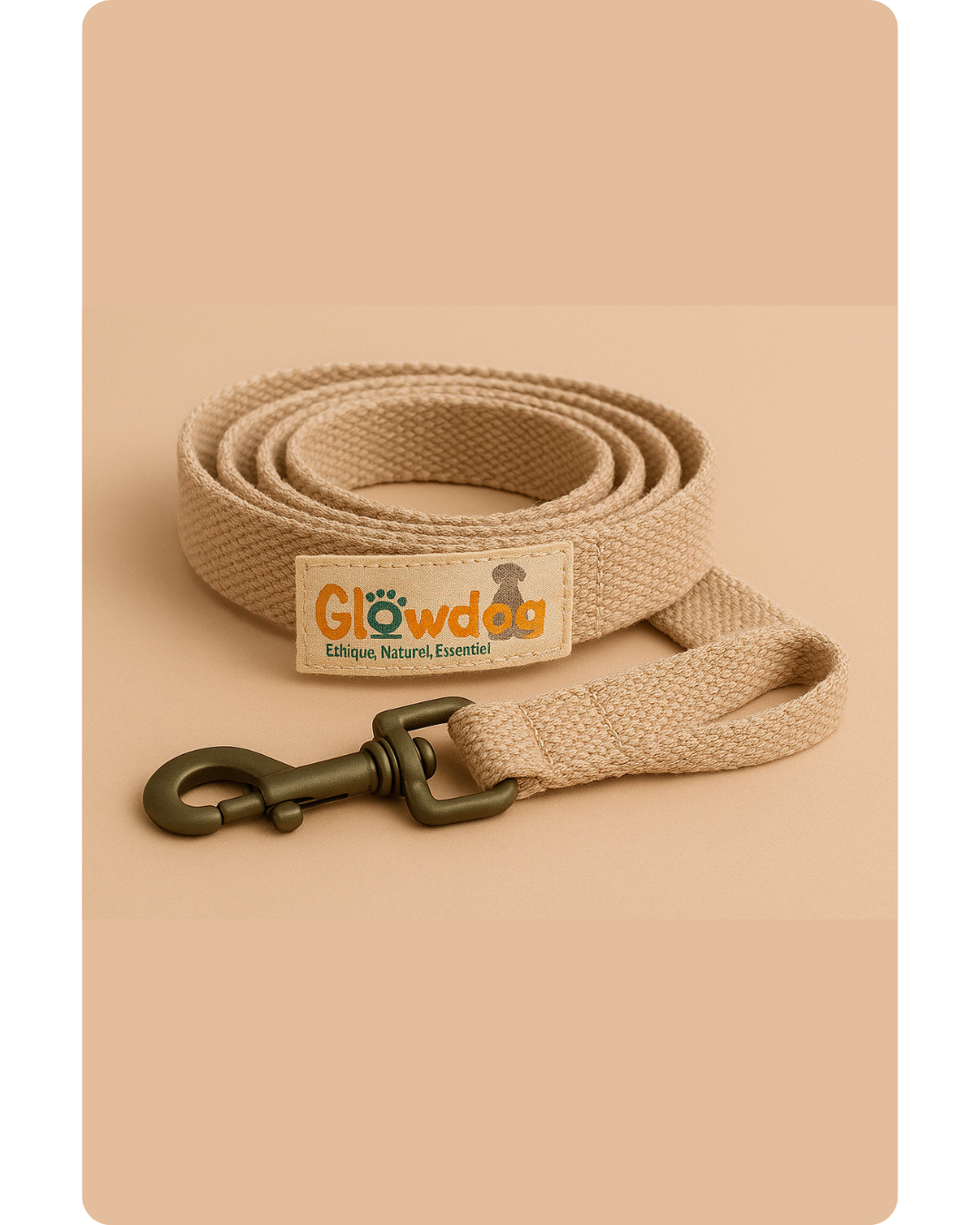 Laisse pour chiens