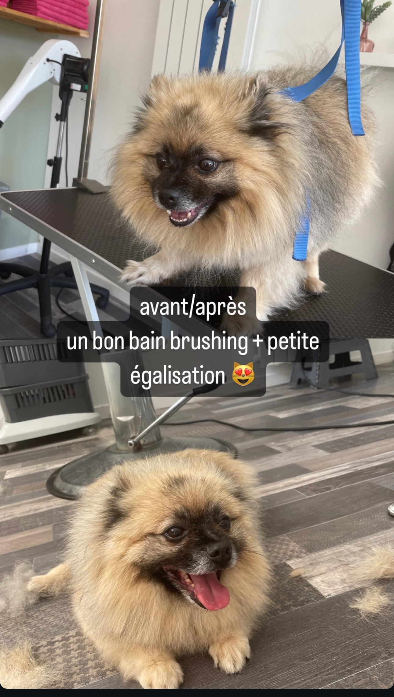 About capture d’écran . 2025 12 05 à 13.44.38